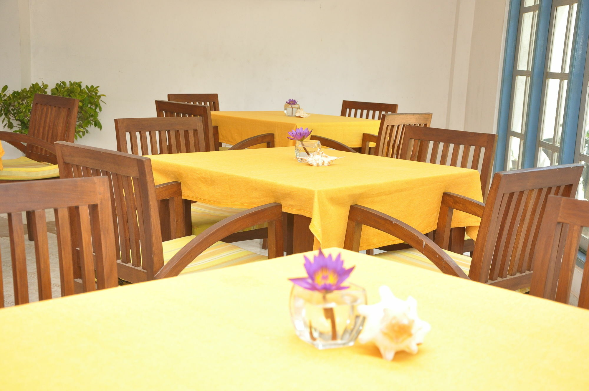 Hotel Mountbaylk Dehiwala-Mount Lavinia Exterior foto